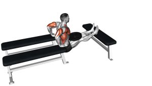 Read more about the article Weighted Three-Bench Dip