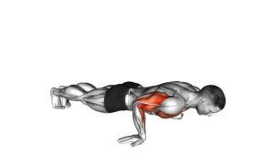Read more about the article Reverse Push-Up