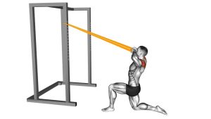Read more about the article Resistance Band Half-Kneeling Face Pull