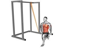 Read more about the article Resistance Band Kneeling High-to-Low Anti-Rotation Chop