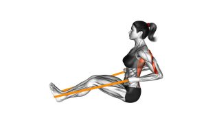 Read more about the article Resistance Band Seated Row
