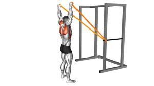 Read more about the article Resistance Band Y Press