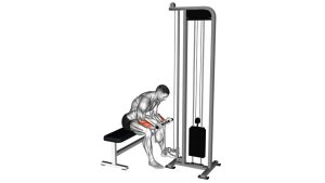 Read more about the article Cable Reverse Wrist Curl