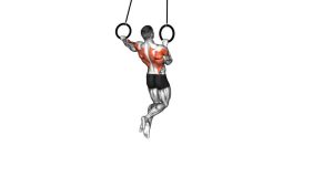 Read more about the article Ring Archer Pull-Up
