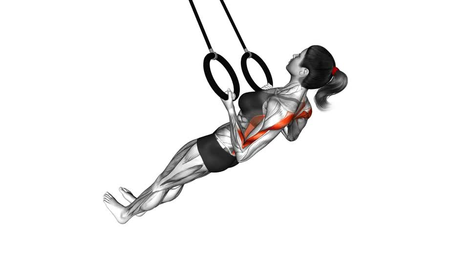 Correct Form Inverted Rows Ring Inverted Row - ManiacMuscle