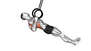 Read more about the article Ring Inverted Row
