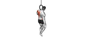 Read more about the article Ring One-Arm Pull-Up