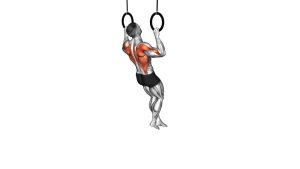Read more about the article Ring Pull-Up