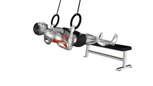 Read more about the article Ring Weighted Pronated-Grip Inverted Row