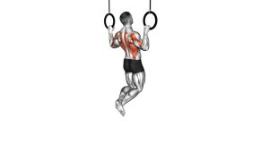 Read more about the article Ring Wide Pull-Up