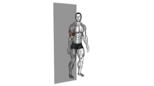 Read more about the article Roll Ball Biceps Brachii Wall Release