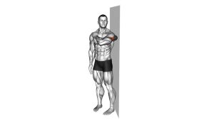Read more about the article Roll Ball Deltoid Posterior