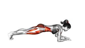 Read more about the article Rolling Bridge