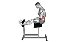 Read more about the article Roman Chair Sit-Up