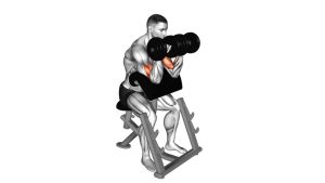 Read more about the article Dumbbell Reverse Preacher Curl