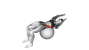 Read more about the article Russian Twist on Stability Ball Arms Straight