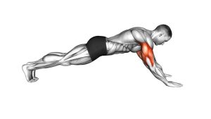Read more about the article Bodyweight Triceps Extension from Plank Position