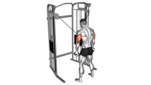Read more about the article Cable Standing High Cross Triceps Extension