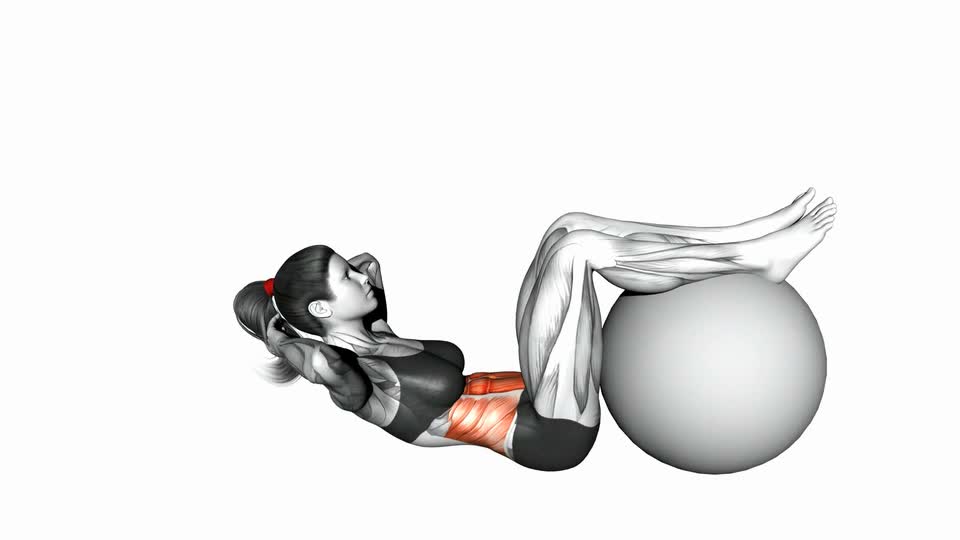 Mp Crunch Crunch (Legs on Stability Ball) - ManiacMuscle