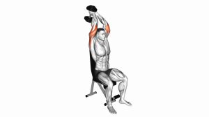Read more about the article Dumbbell Seated Triceps Extension