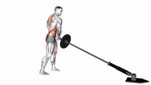 Read more about the article Landmine 180