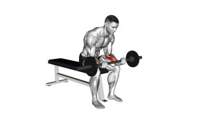 Read more about the article Barbell Wrist Curl