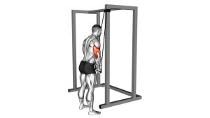 Read more about the article Resistance Band Triceps Pushdown