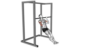 Read more about the article Seated Chin-Up (Low Bar Position)