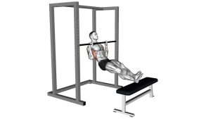Read more about the article Seated Pull-Up (Legs Elevated)
