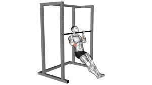 Read more about the article Seated Pull-Up
