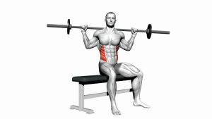 Read more about the article Barbell Seated Twist