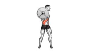 Read more about the article Barbell Standing Twist