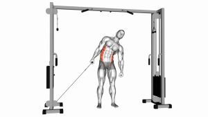 Read more about the article Cable Side Bend