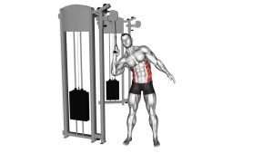 Read more about the article Cable Side Crunch