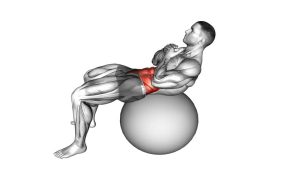 Read more about the article Crunch on Stability Ball
