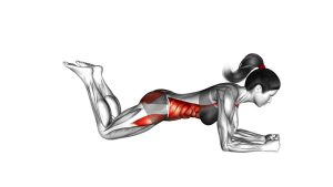 Read more about the article Bridge (On Knees)