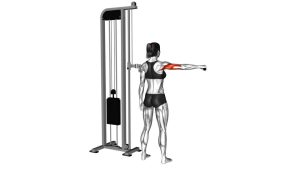 Read more about the article Cable Rear Drive