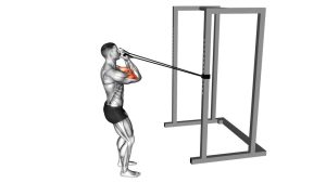 Read more about the article Band Horizontal Biceps Curl