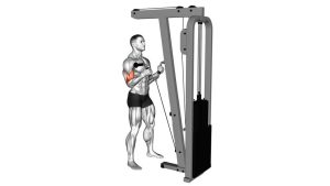 Read more about the article Cable Curl with Multipurpose V-Bar