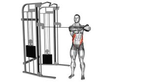 Read more about the article Cable Twist Waist