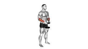 Read more about the article Dumbbell Standing Hands Torsion