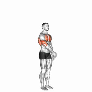 Read more about the article Shoulder Adduction