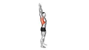 Read more about the article Shoulder Backbend Stretch