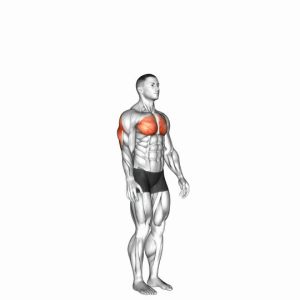 Read more about the article Shoulder Extension