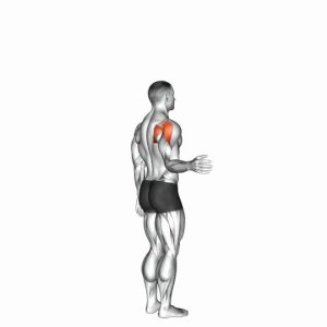 Read more about the article Shoulder Lateral Rotation (External Rotation)