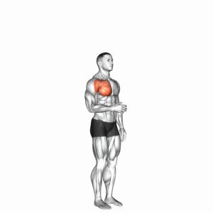 Read more about the article Shoulder Medial Rotation (Internal Rotation)