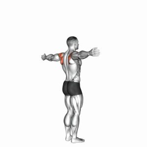 Read more about the article Shoulder Transverse Abduction