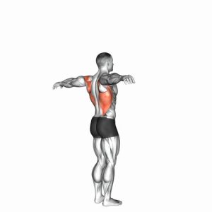 Read more about the article Shoulder Transverse Extension