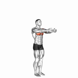 Read more about the article Shoulder Transverse Flexion