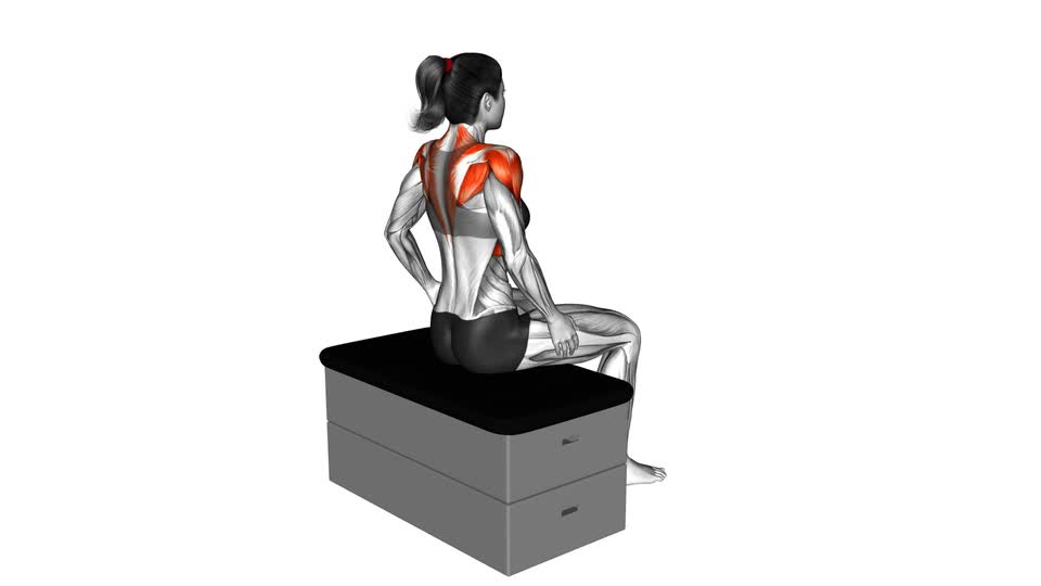 Seated Shoulder Rotation - ManiacMuscle